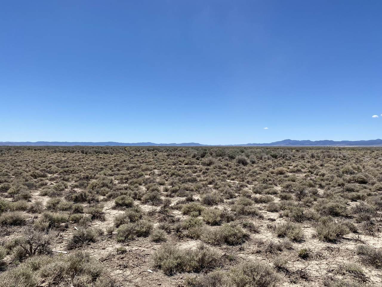 160 Acres Beryl - Photo 1