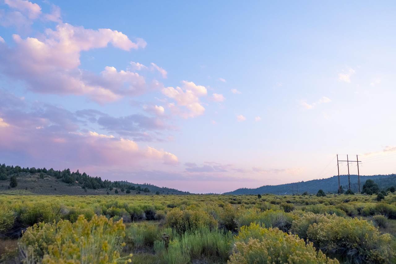 Lot 4 Pecos Dr - Photo 1
