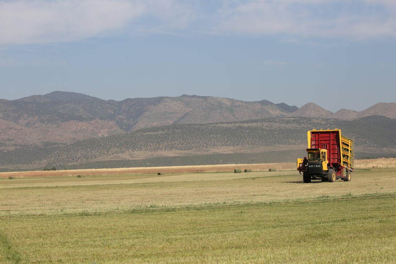 1610 Highway 144 (321.11 Acres) - Photo 1