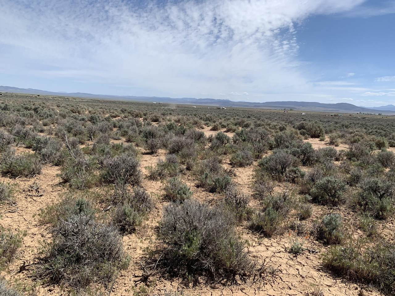 Lot 1&2 Cedar Valley Acres - Photo 1