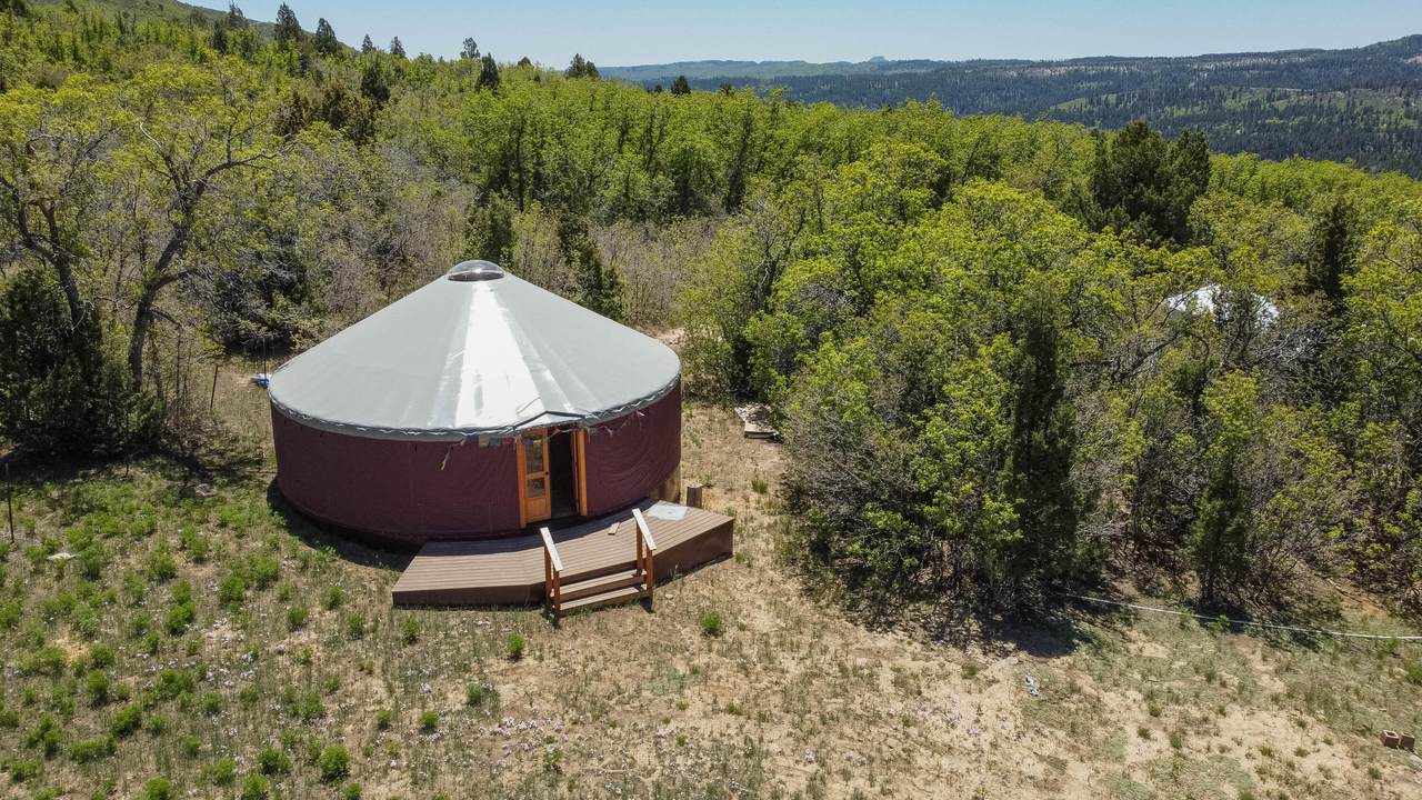 Kolob Mountain - Photo 1