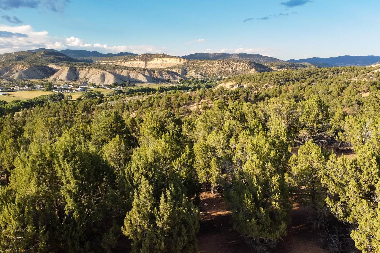 Pinyon Pine Dr - Photo 1