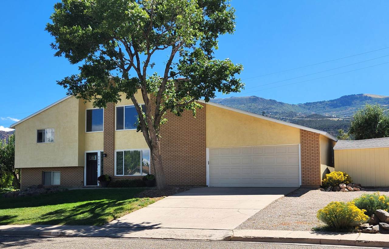 1019 Cedar Knolls - Photo 1