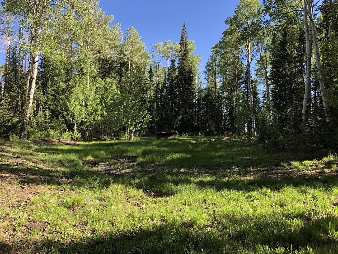 361 Lupine Ct. - Photo 1