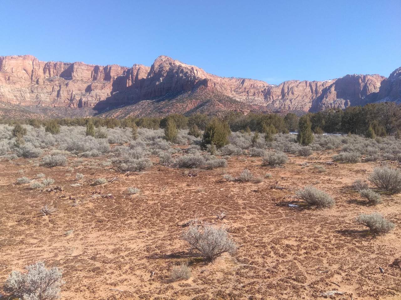 2350 Highway 59 - Photo 1