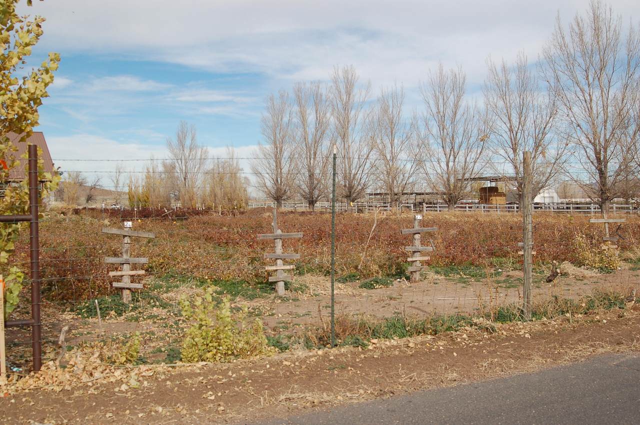 85 100 - Photo 1