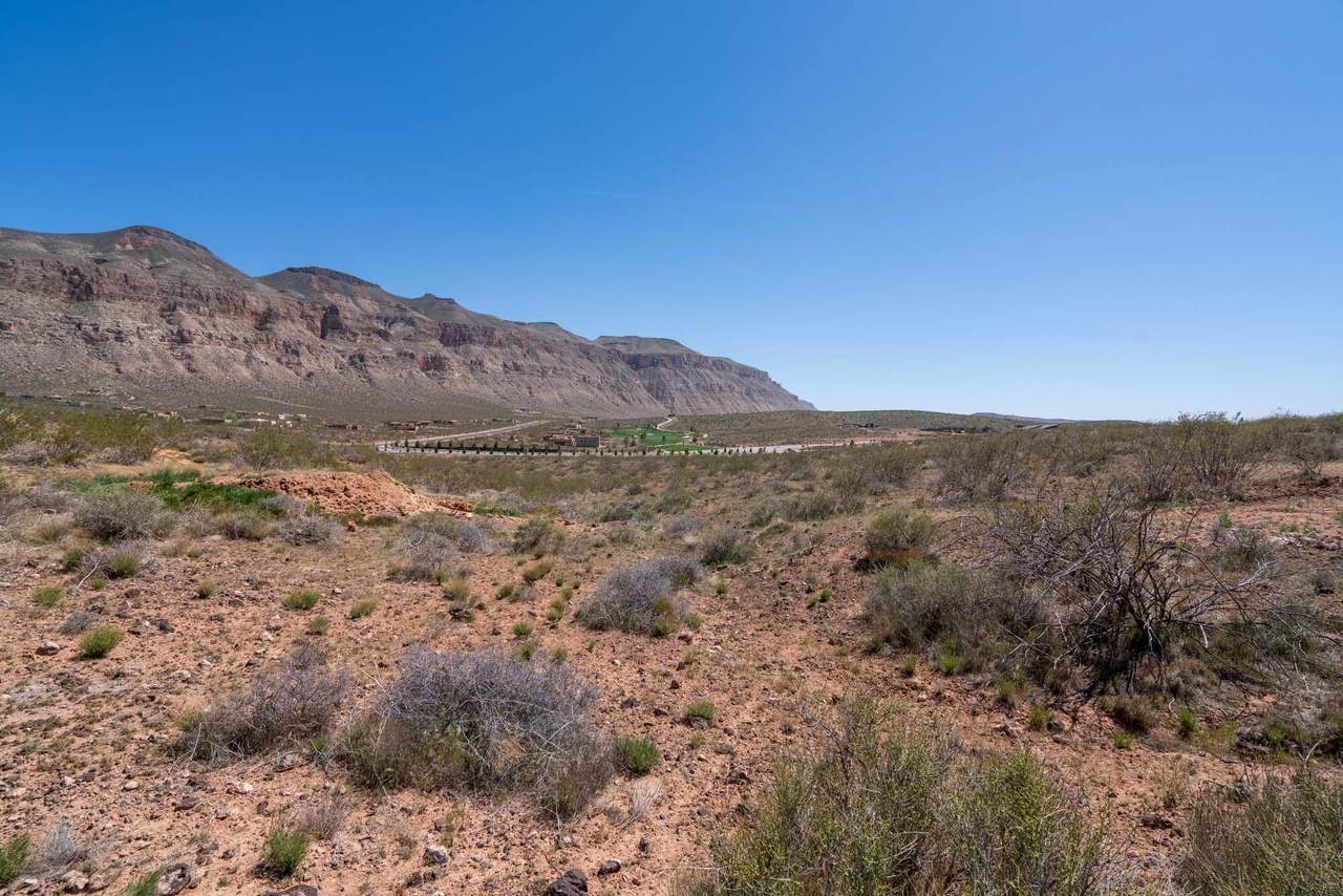 Approx. 5 Acres Off Of 1100 - Photo 1