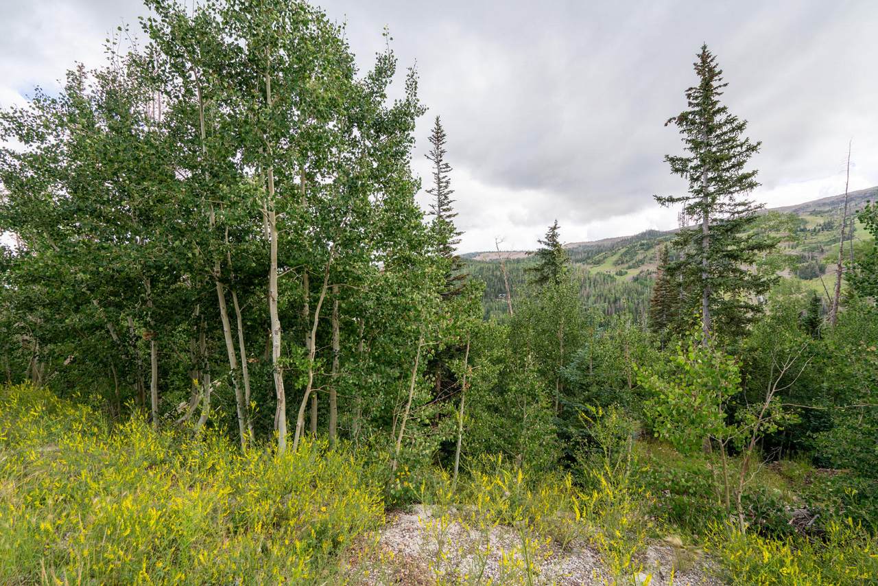 243 Eagles Roost St - Photo 1