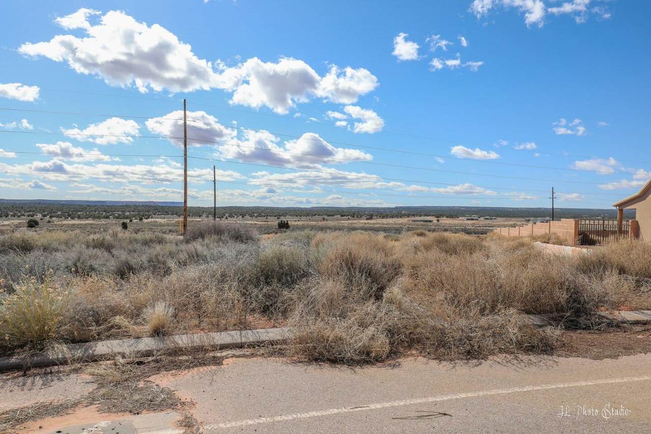 1176 Cactus Dr - Photo 1