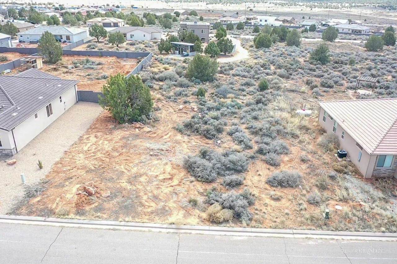 1154 Big Pinion Ln - Photo 1