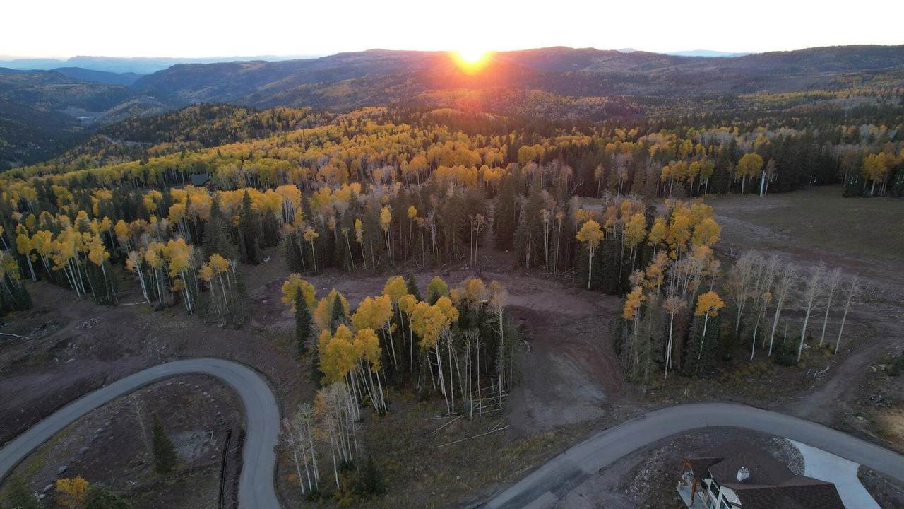  Elk Passage - Photo 1