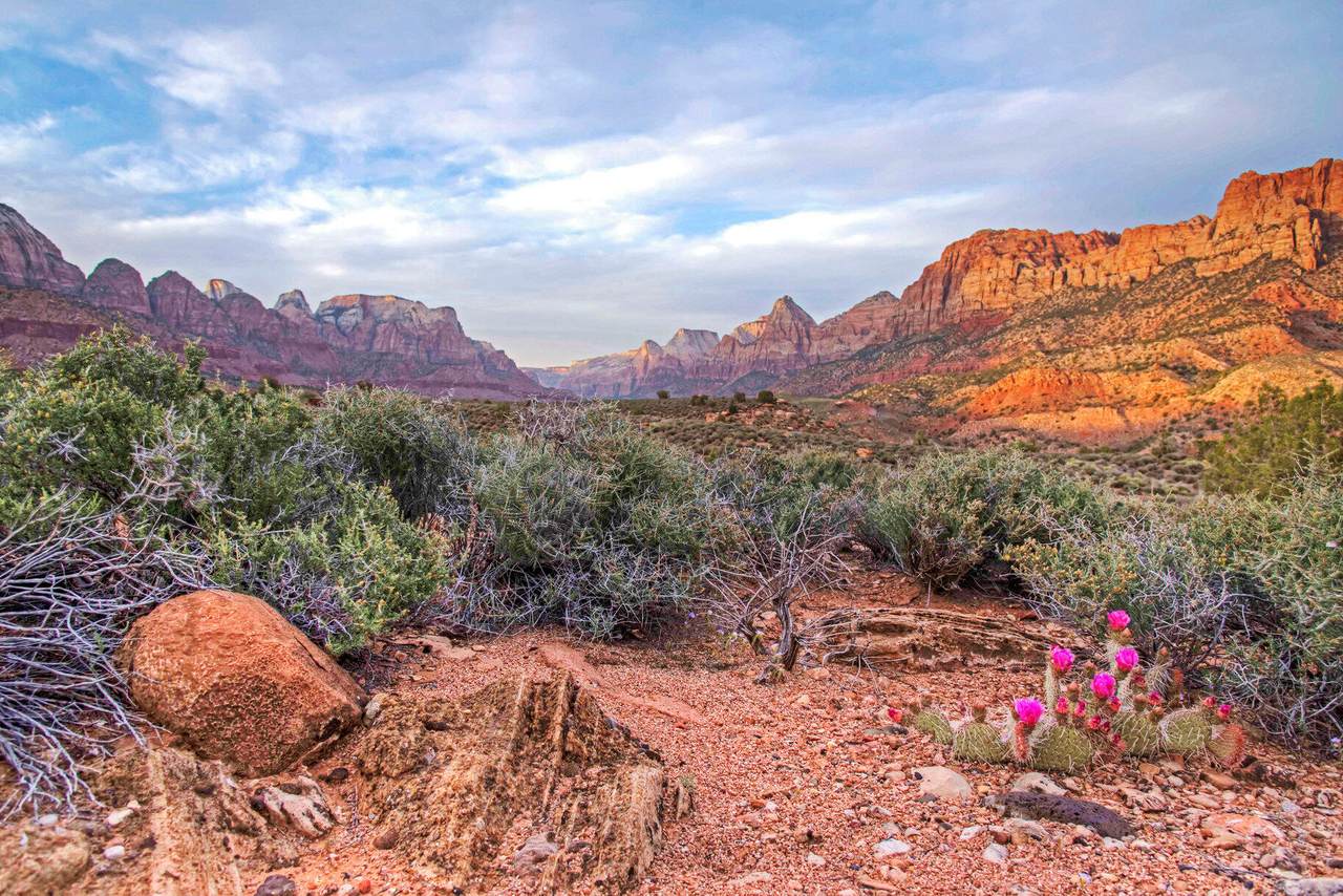https://bt-photos.global.ssl.fastly.net/stgeorge/1280_boomver_1_25-260994-2.jpg