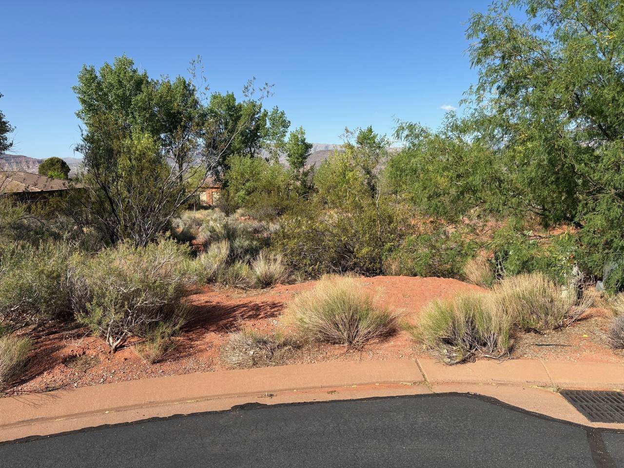 TBD Agave Way - Photo 1