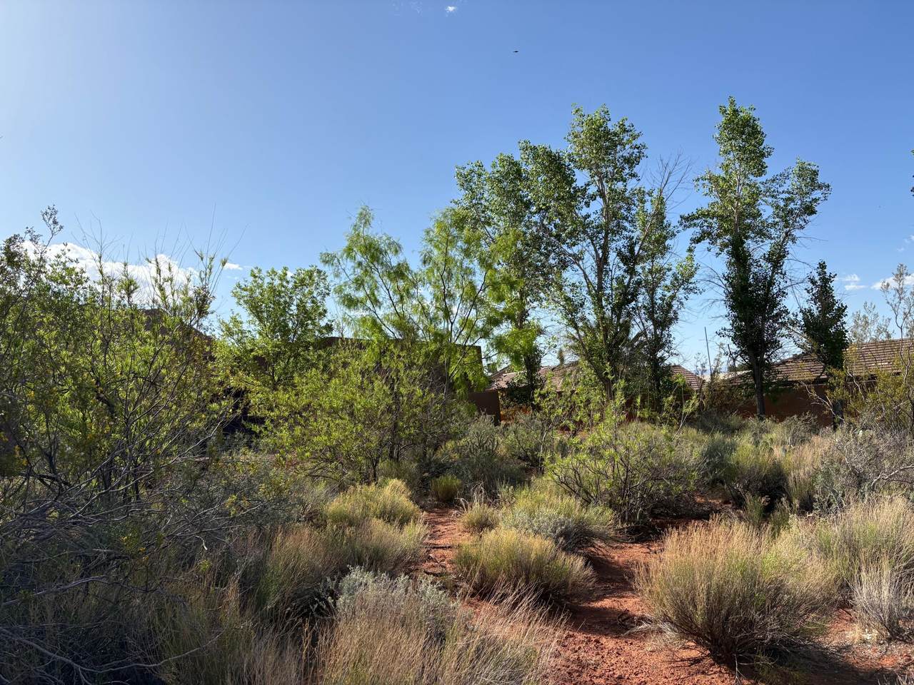 https://bt-photos.global.ssl.fastly.net/stgeorge/1280_boomver_1_25-261291-2.jpg