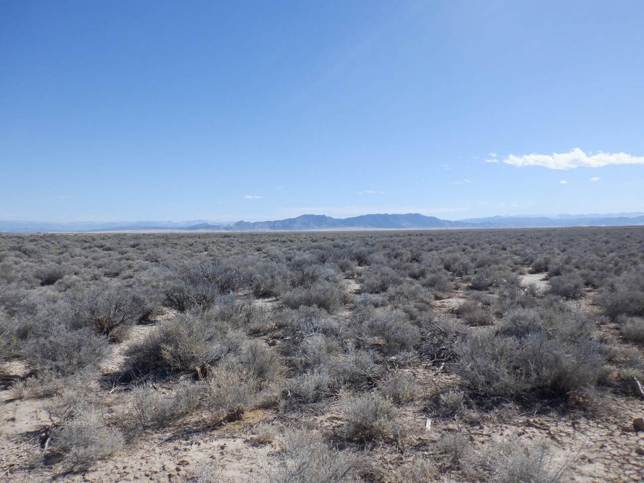 https://bt-photos.global.ssl.fastly.net/stgeorge/1280_boomver_1_25-262432-2.jpg