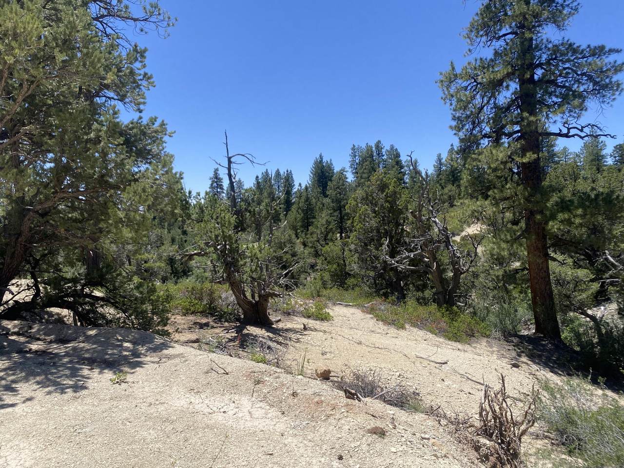 2212 Egan Rd - Photo 1