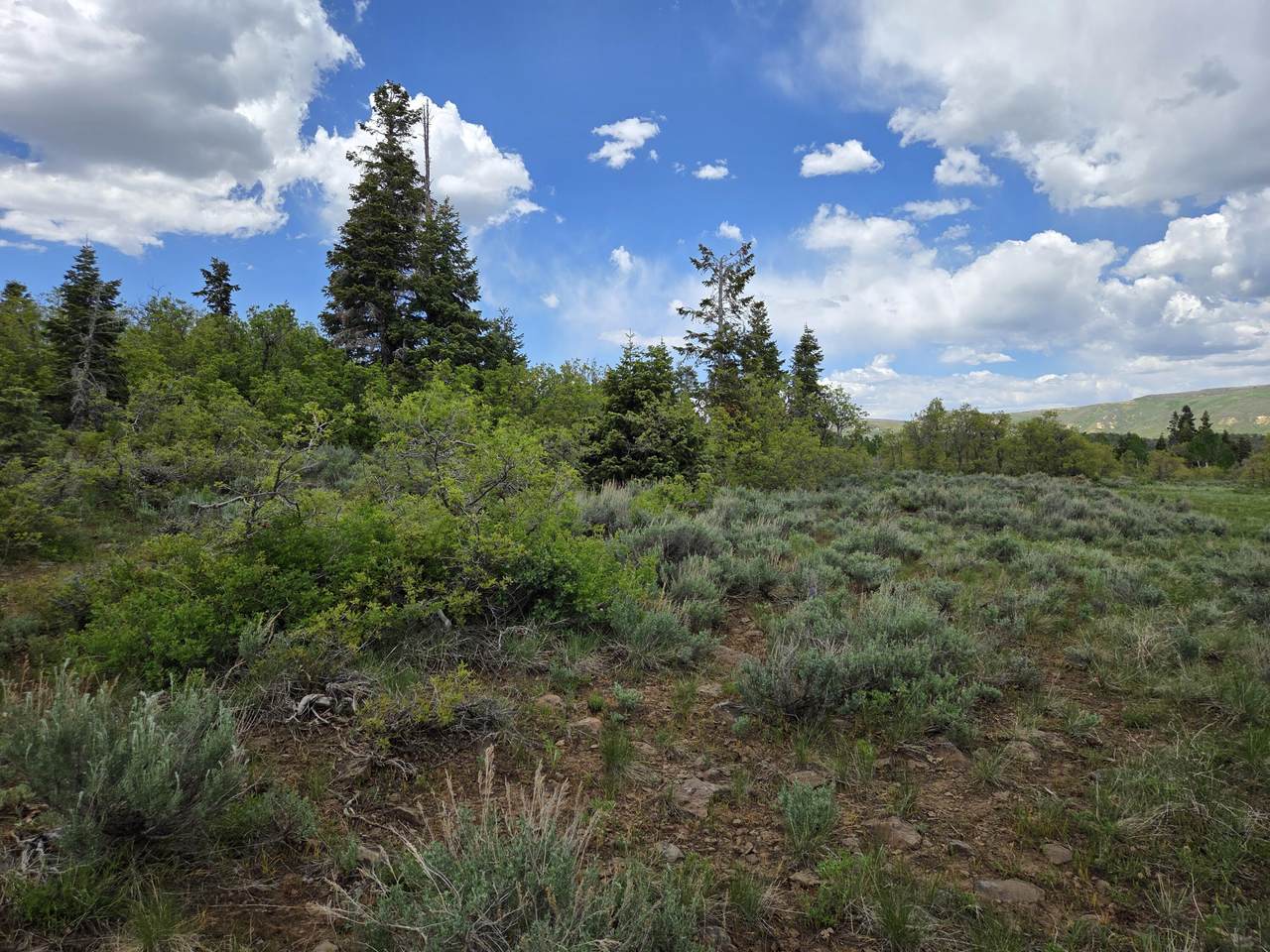 LOT 10 Spring Dr - Photo 1