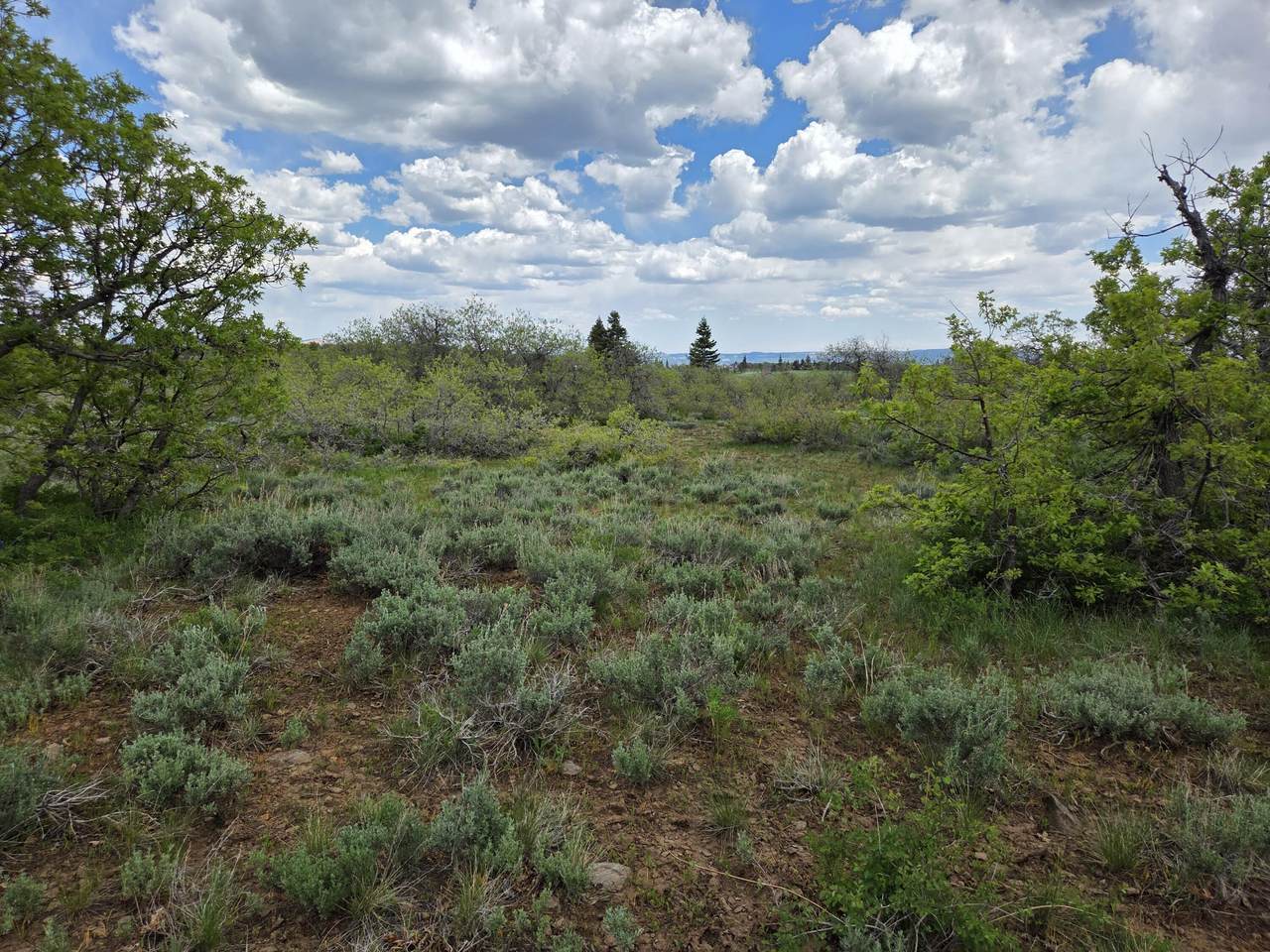 https://bt-photos.global.ssl.fastly.net/stgeorge/1280_boomver_1_25-262564-2.jpg
