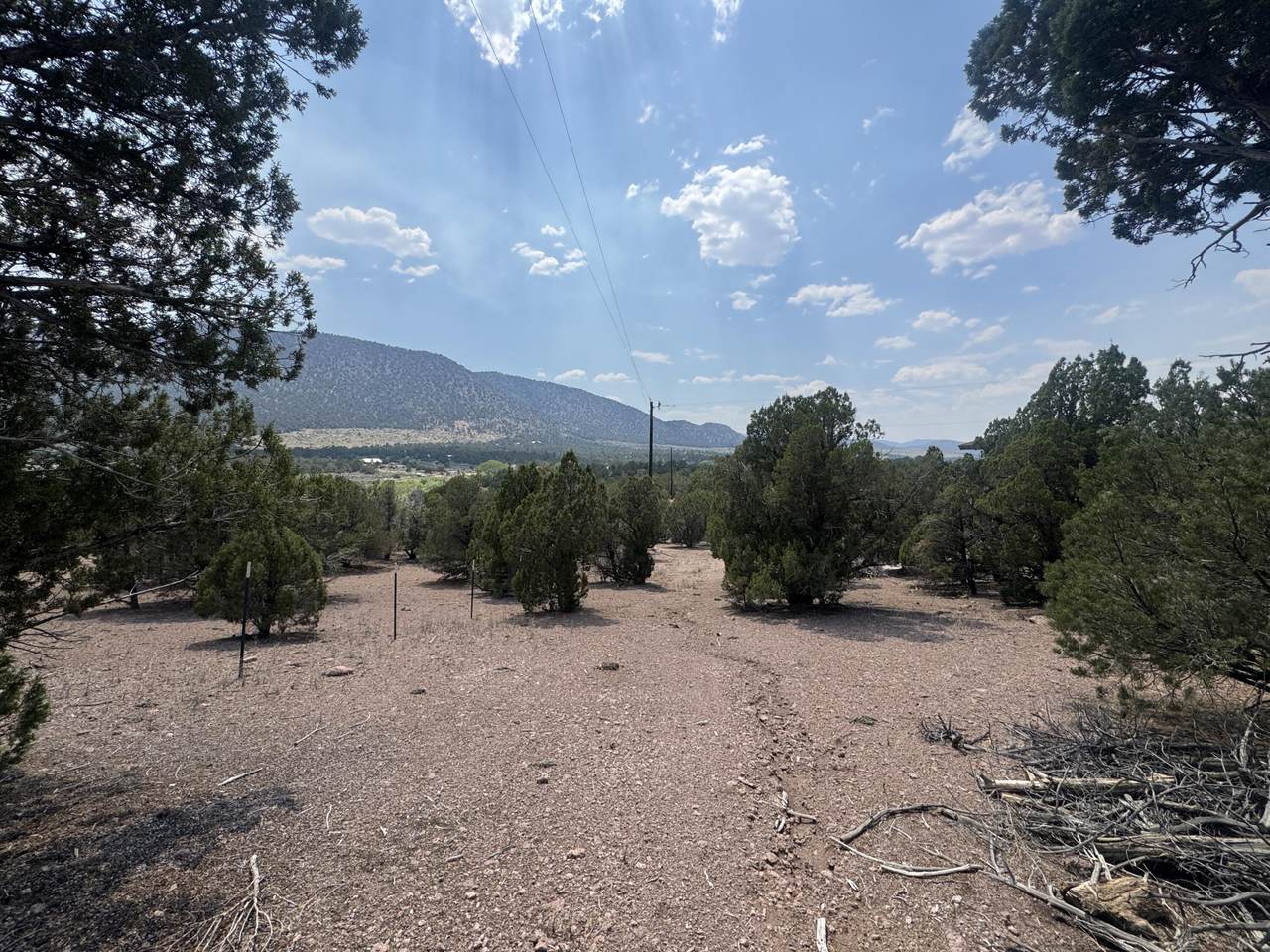 4198 Artifact Dr - Photo 1
