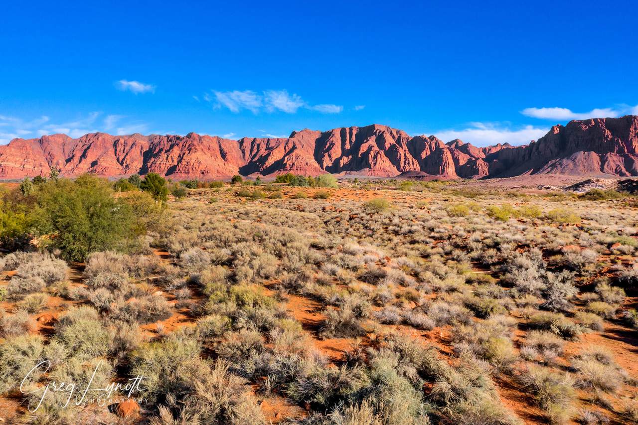 1312 Willow Springs Way - Photo 1