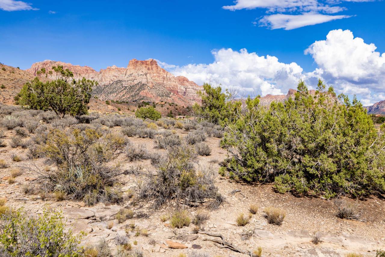 https://bt-photos.global.ssl.fastly.net/stgeorge/1280_boomver_1_26-268281-2.jpg