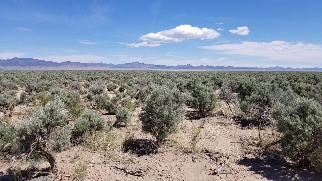 https://bt-photos.global.ssl.fastly.net/stgeorge/1280_boomver_1_26-270380-2.jpg