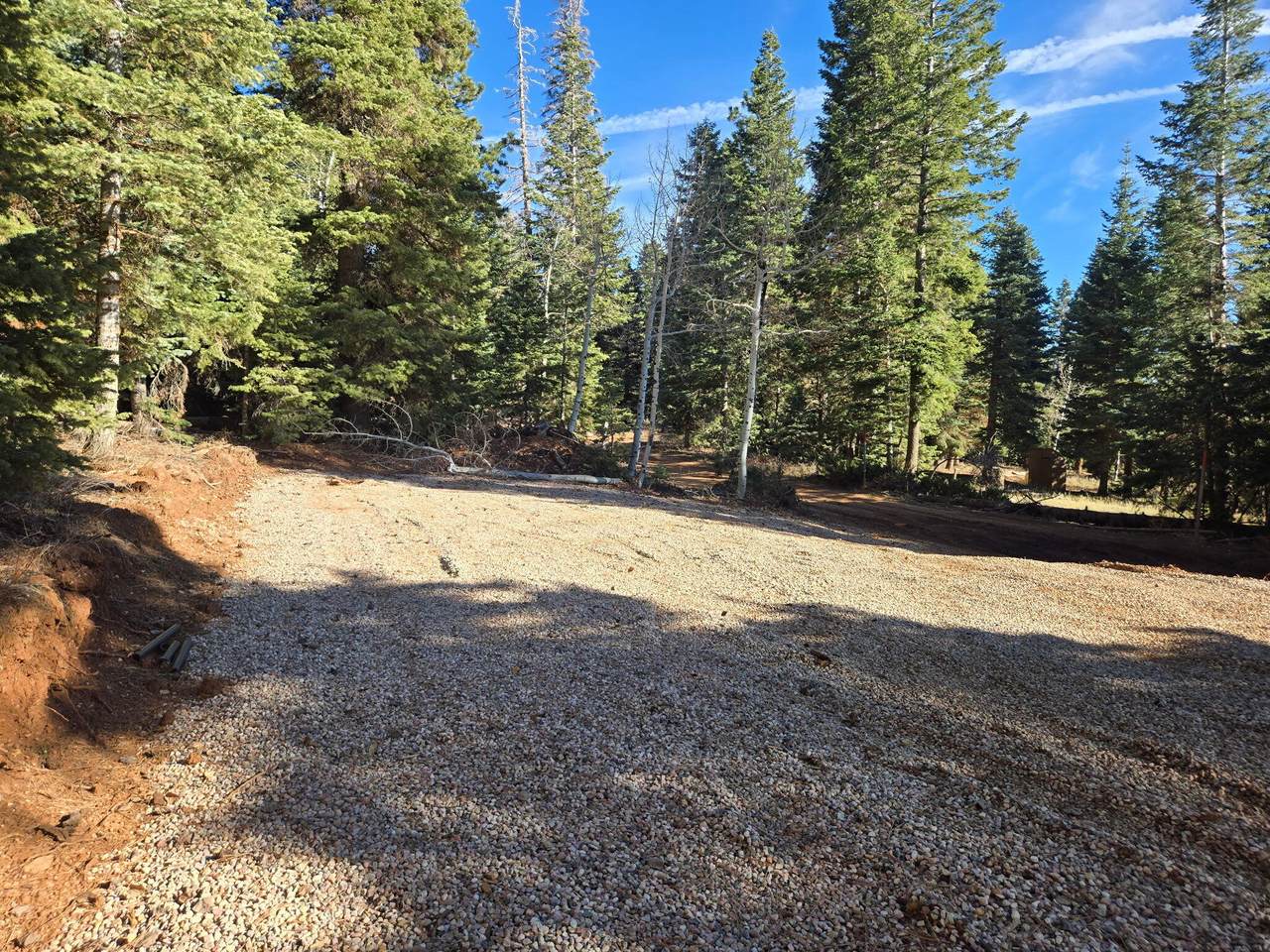 5465 Berry Loop Lp - Photo 1