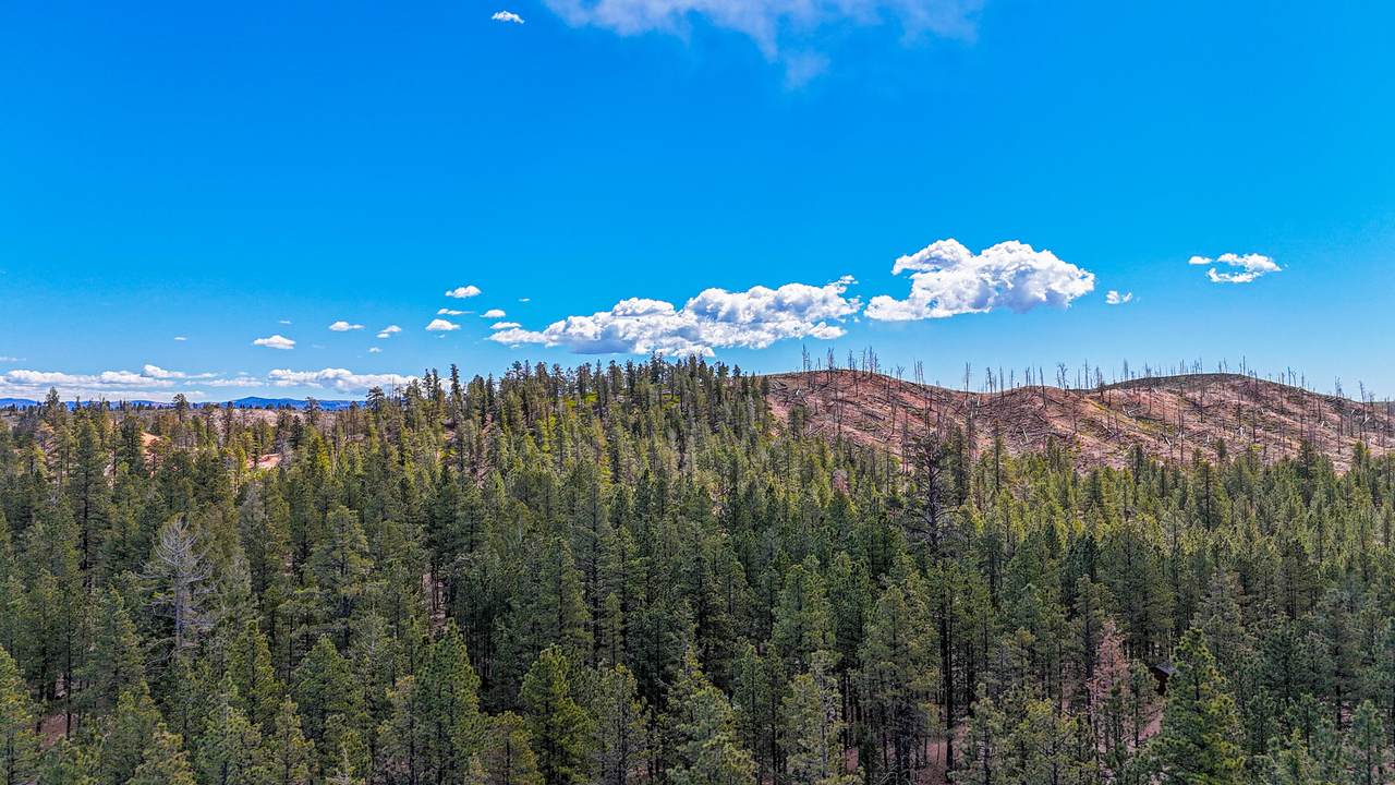 https://bt-photos.global.ssl.fastly.net/stgeorge/1280_boomver_2_26-271117-2.jpg