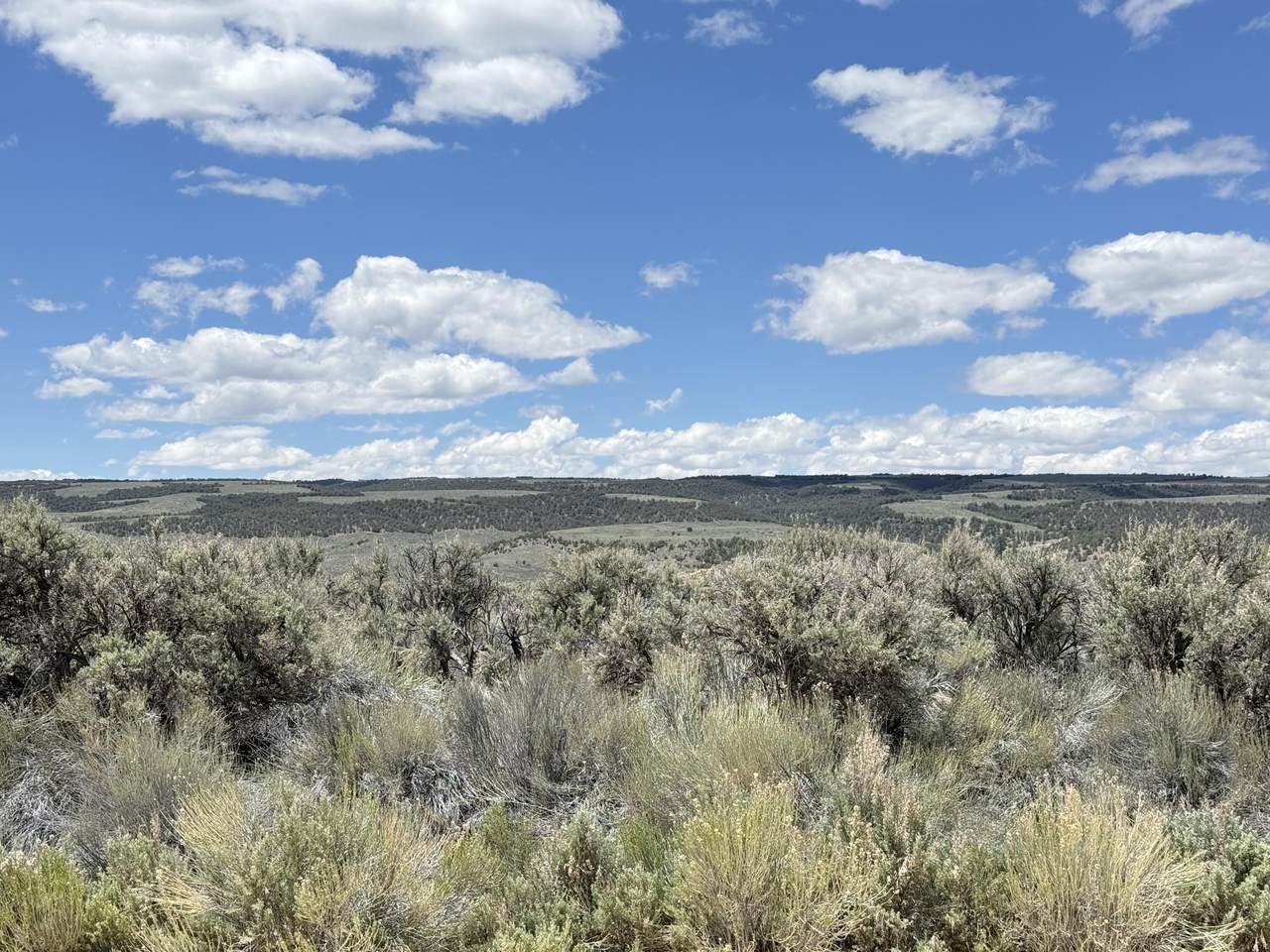 https://bt-photos.global.ssl.fastly.net/stgeorge/1280_boomver_1_26-272589-2.jpg