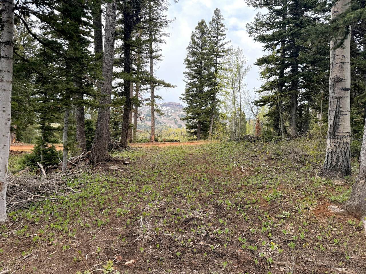646 Ski View Dr - Photo 1