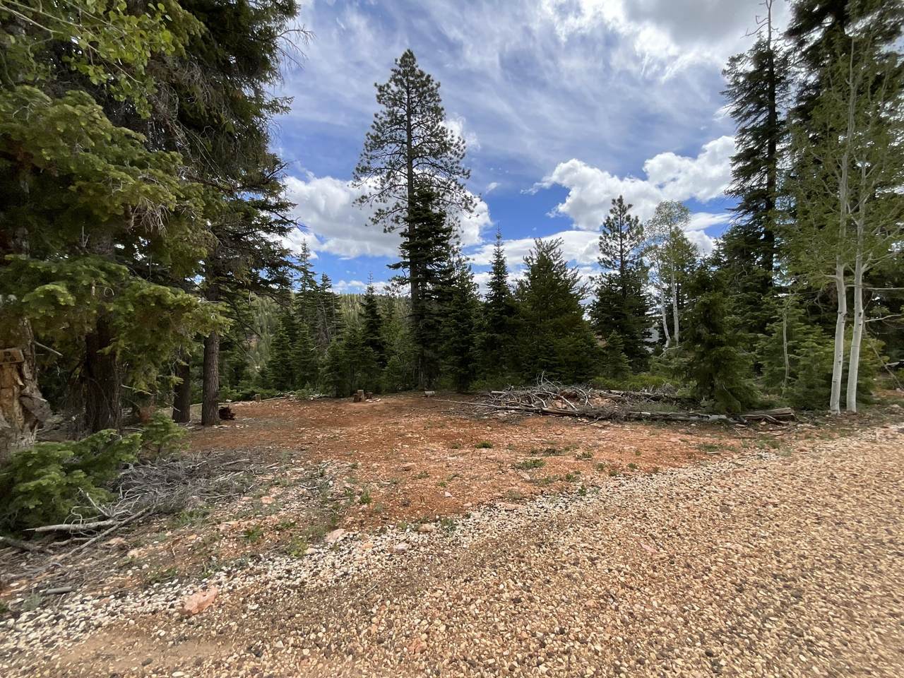 175 Lupin Ln - Photo 1