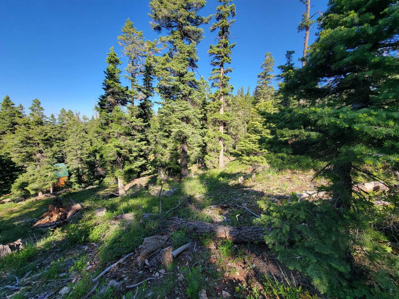 https://bt-photos.global.ssl.fastly.net/stgeorge/1280_boomver_1_26-273167-2.jpg