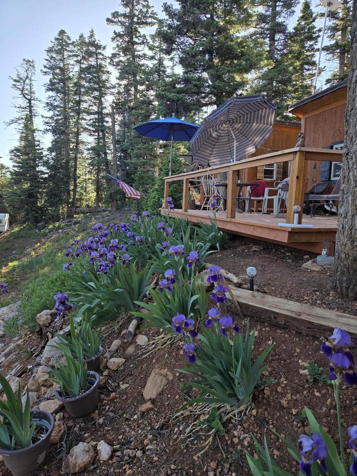 5680 Berry Lp - Photo 1