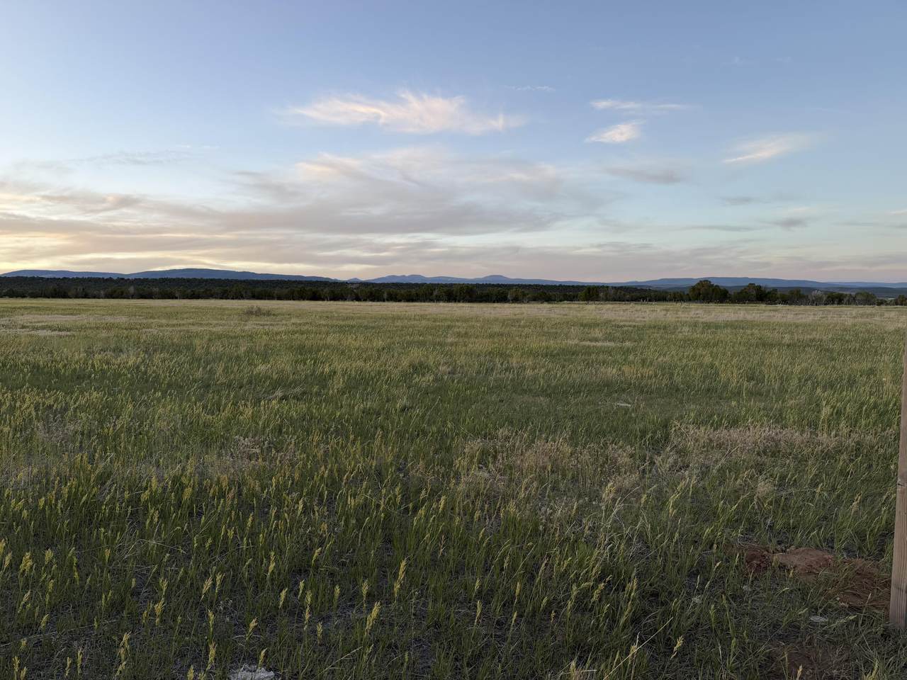  76.89 Acres - Photo 1