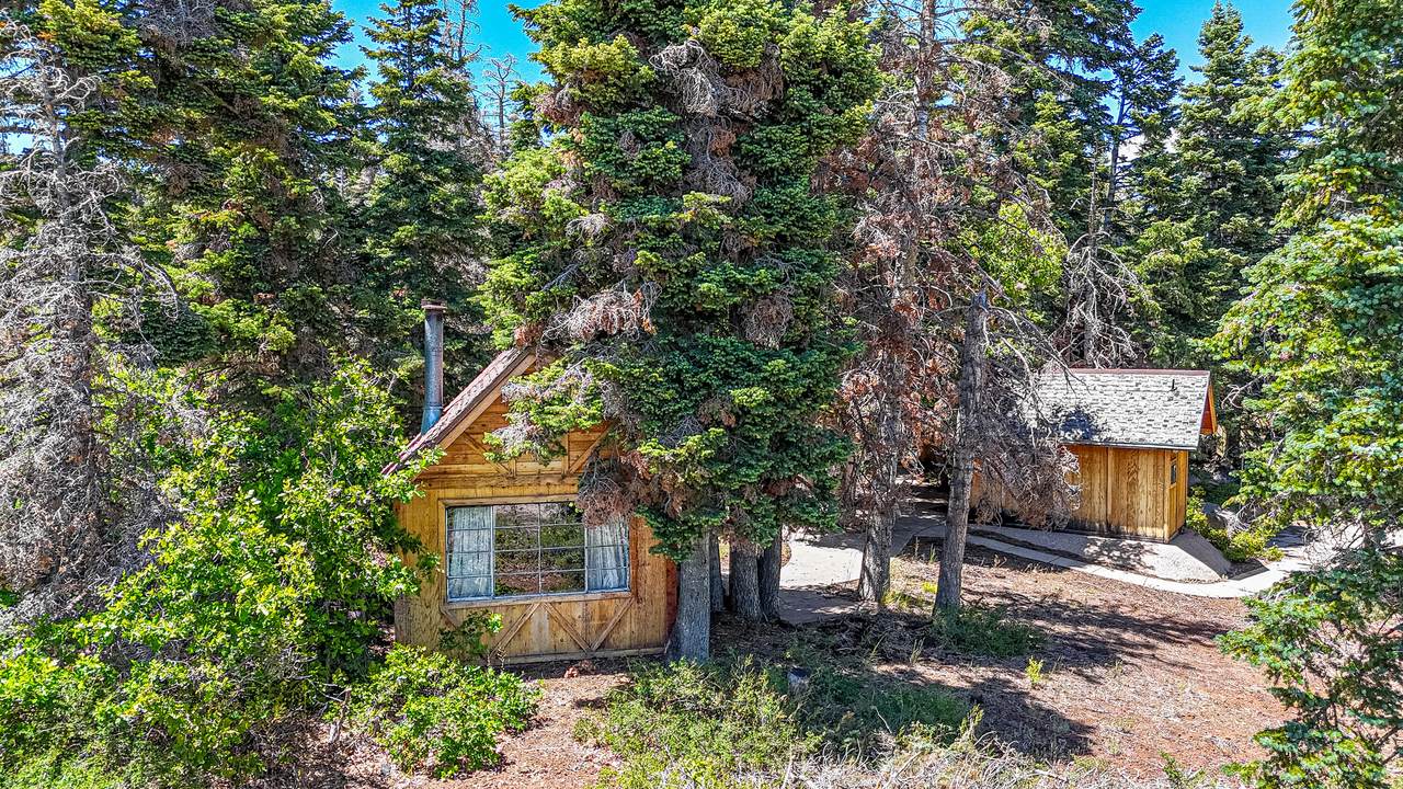 726 Skyview Ln - Photo 1