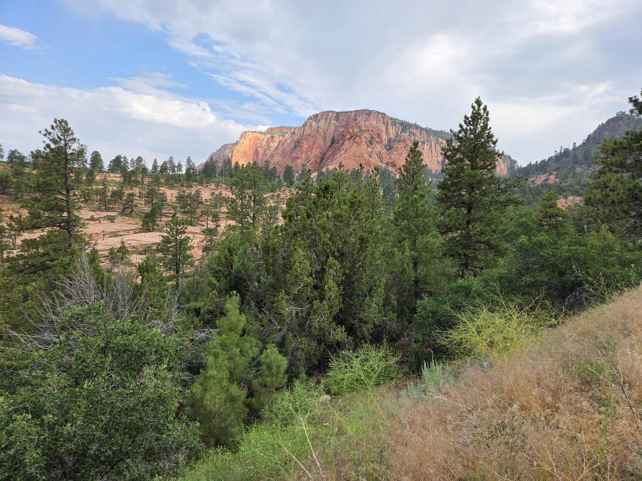 https://bt-photos.global.ssl.fastly.net/stgeorge/1280_boomver_1_26-274070-2.jpg