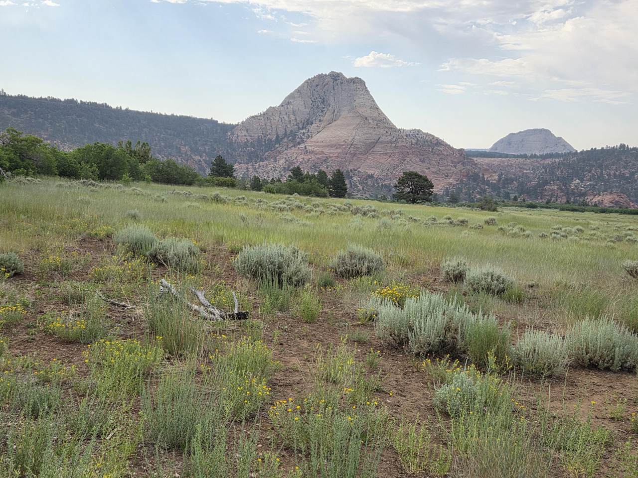https://bt-photos.global.ssl.fastly.net/stgeorge/1280_boomver_1_26-274070-2.jpg
