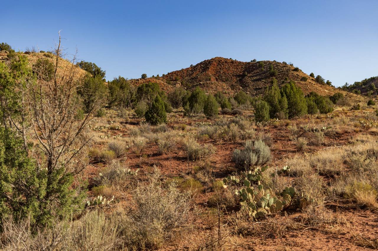 https://bt-photos.global.ssl.fastly.net/stgeorge/1280_boomver_1_26-274937-2.jpg
