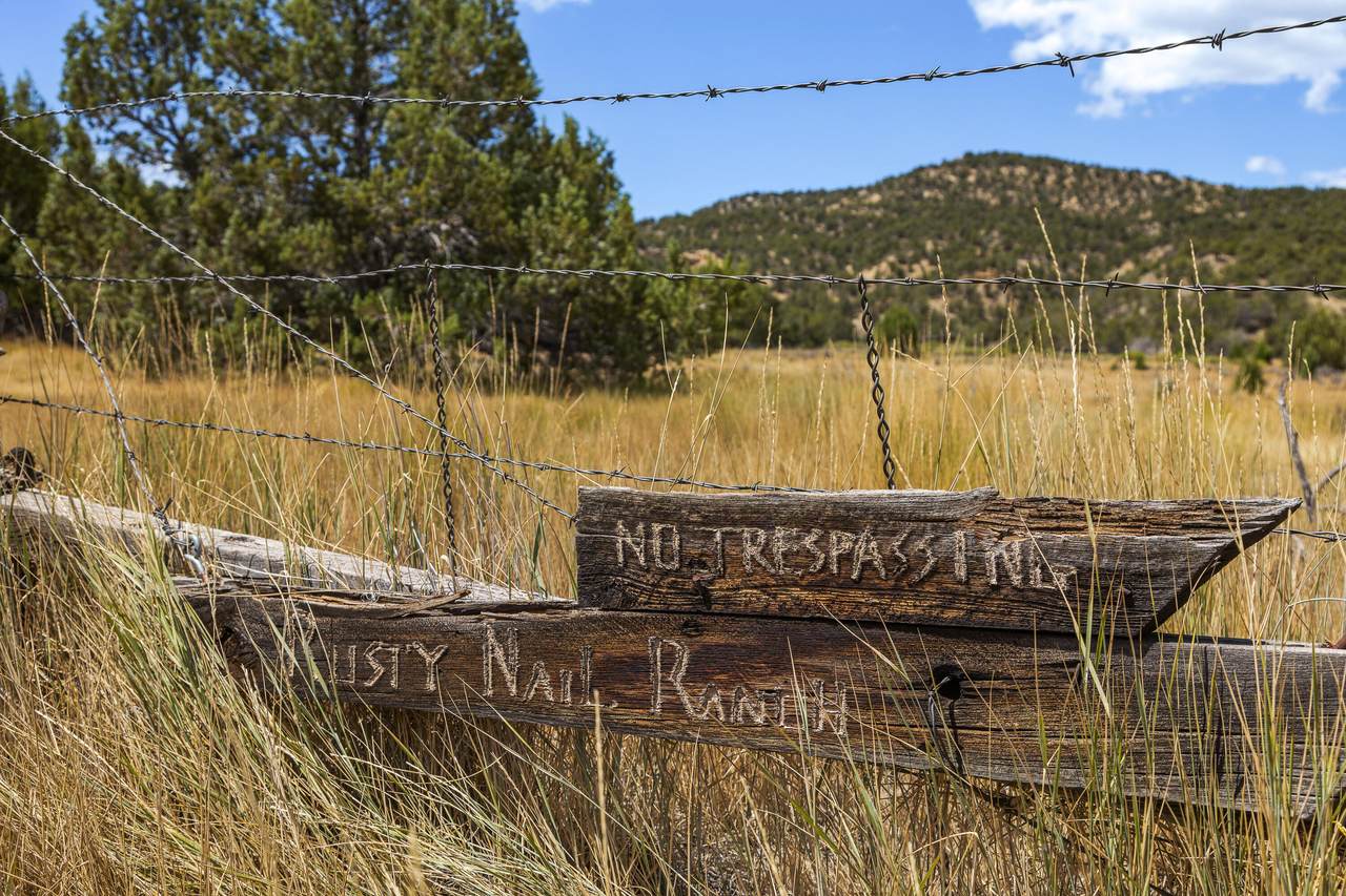  Rusty Nail Ranch - Photo 1