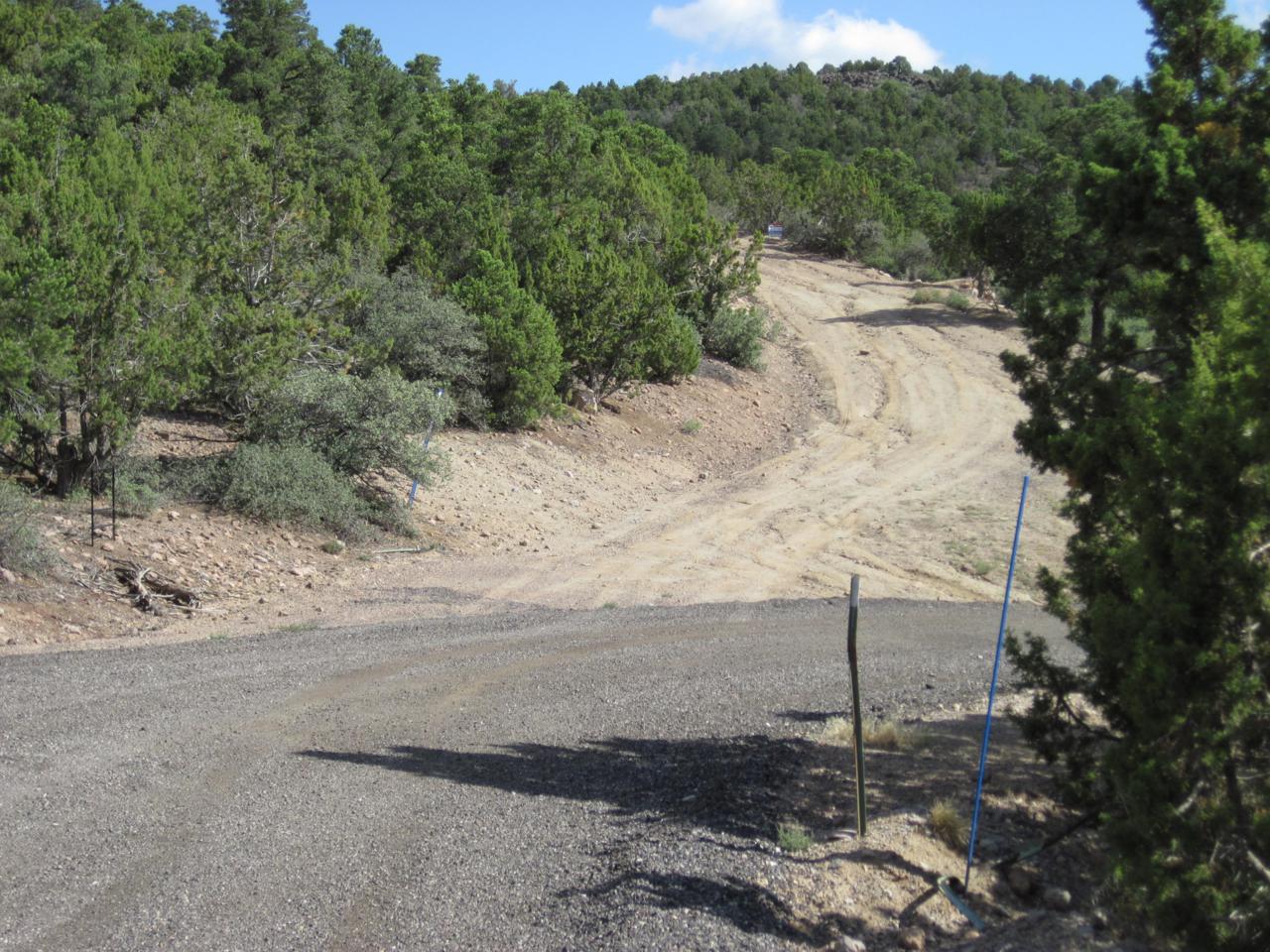 380 Butch Cassidy Cir - Photo 1