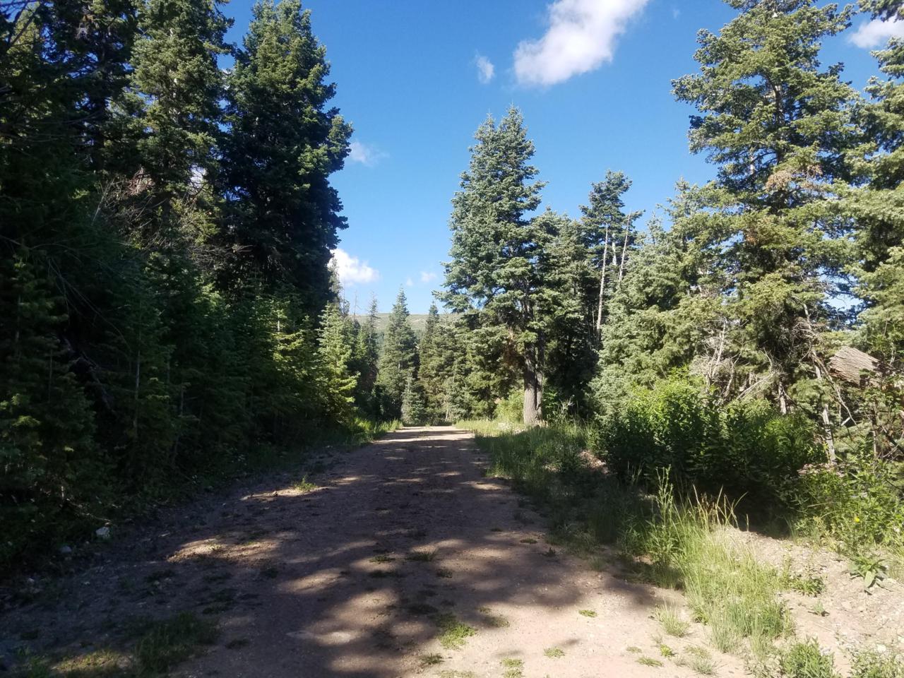 Lot 21 Deep Canyon Dr - Photo 1