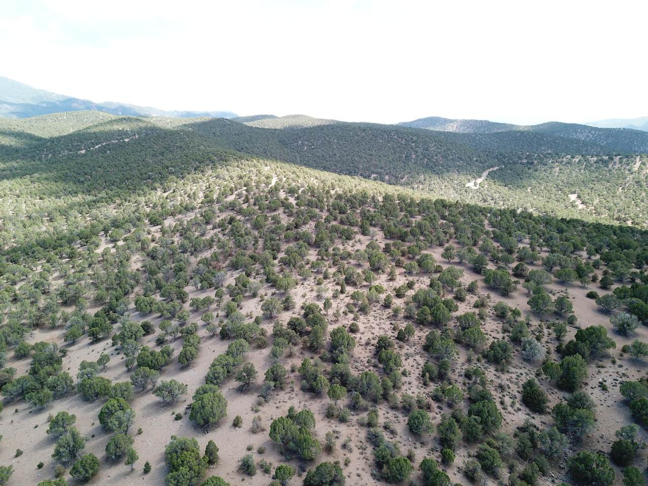 20.15 Acres - Photo 1
