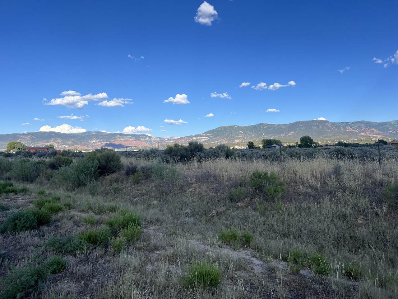 3.44 Acres Thorley Ranch - Photo 1