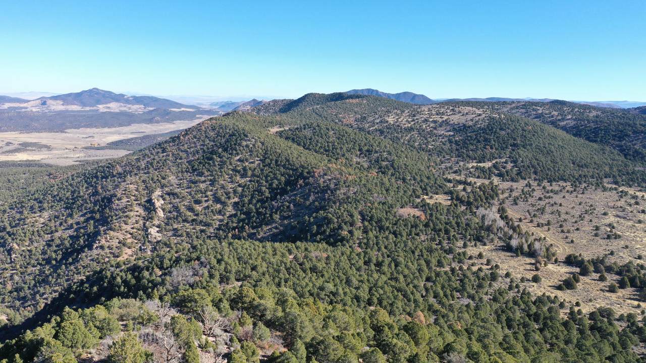  Paradise Springs Ranch - Photo 1