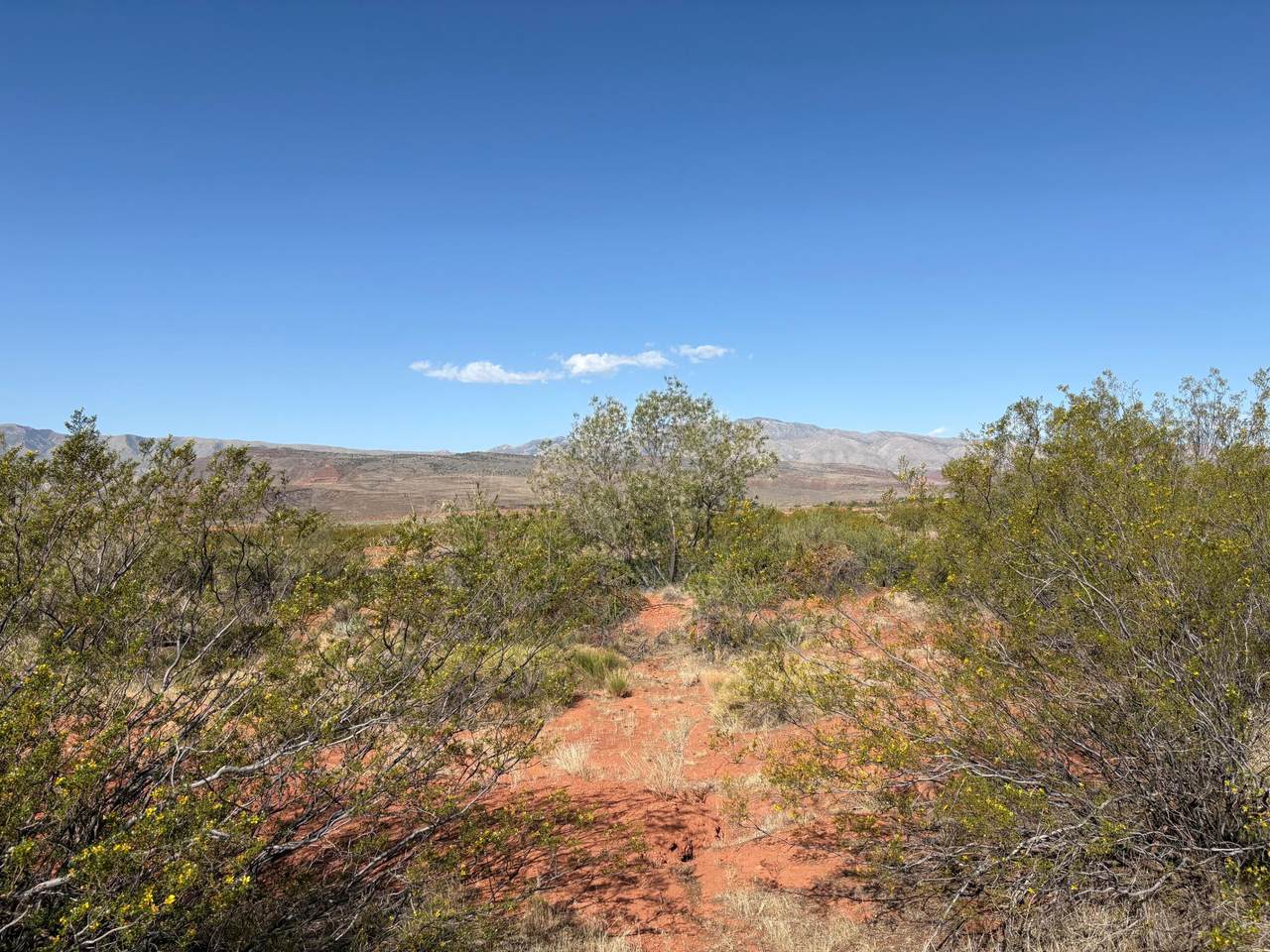 https://bt-photos.global.ssl.fastly.net/stgeorge/1280_boomver_2_25-260840-2.jpg