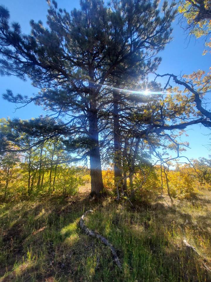 https://bt-photos.global.ssl.fastly.net/stgeorge/1280_boomver_2_25-261332-2.jpg
