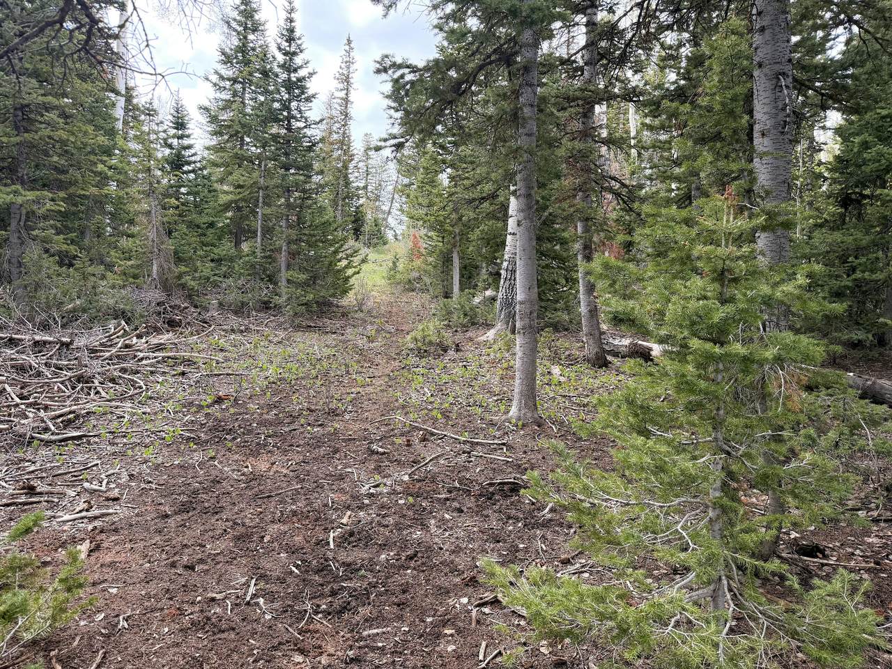 https://bt-photos.global.ssl.fastly.net/stgeorge/1280_boomver_2_26-272733-2.jpg