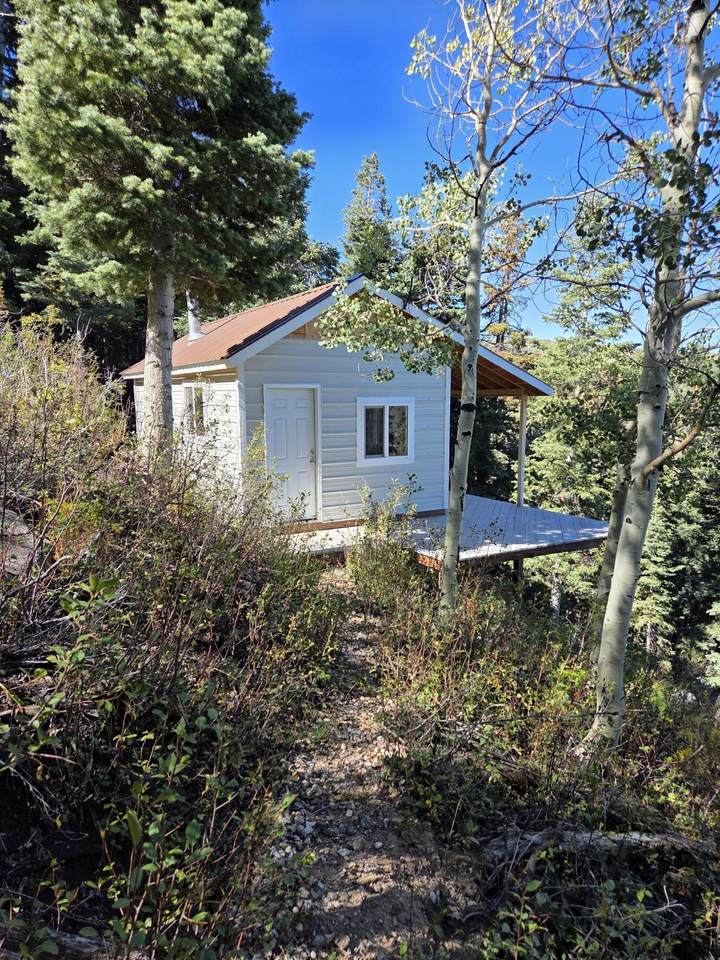  Braffits Creek Deep Canyon Rd - Photo 1