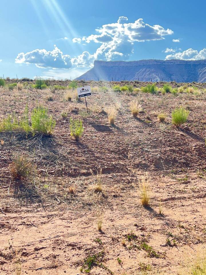 10 Sierra Bella Dr - Photo 1