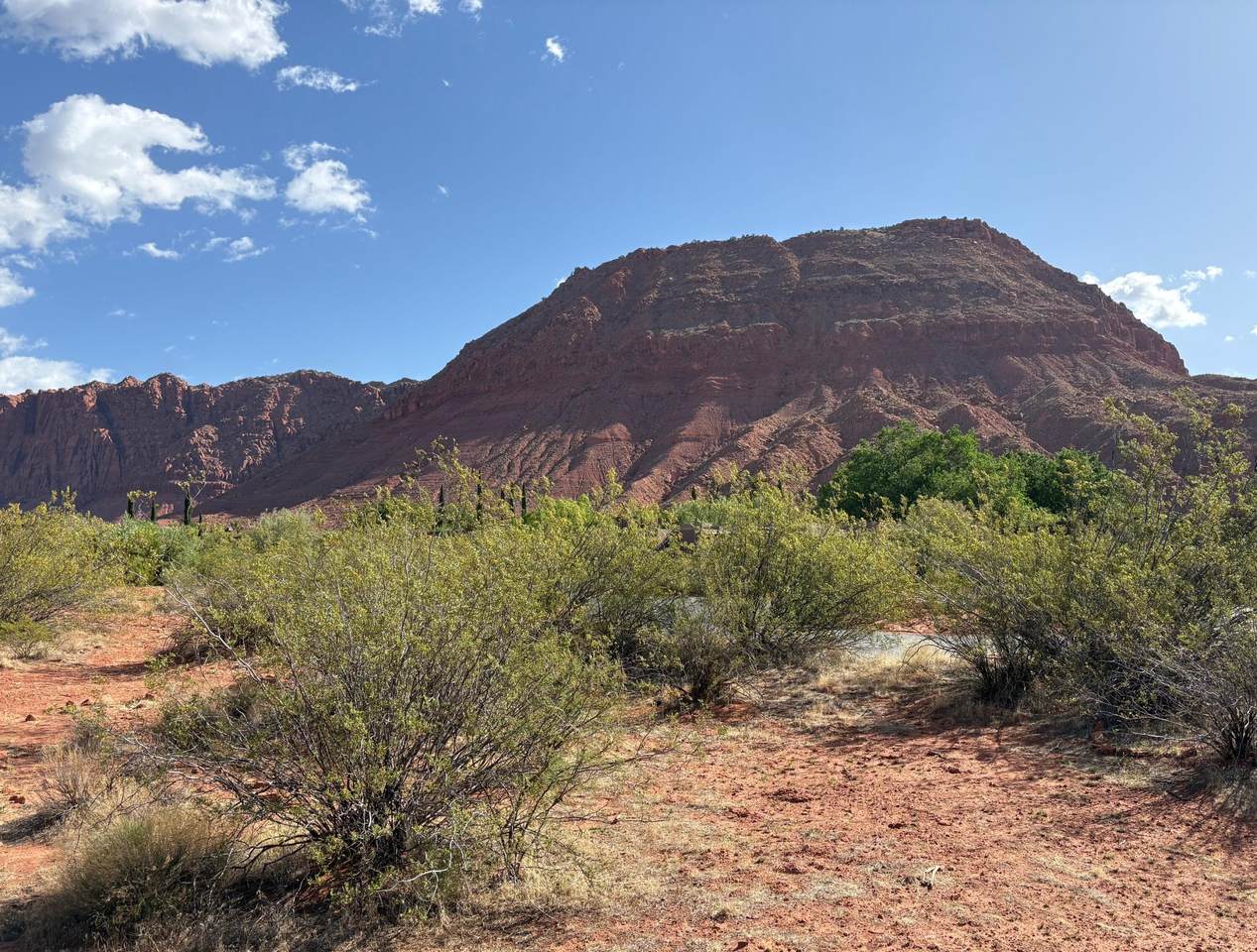 469 Bur Sage Trail - Photo 1